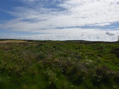 Picture 61